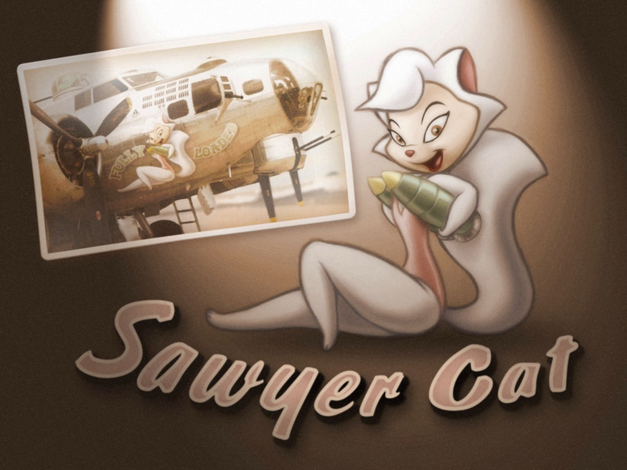 sawyer cat aircraft nose art